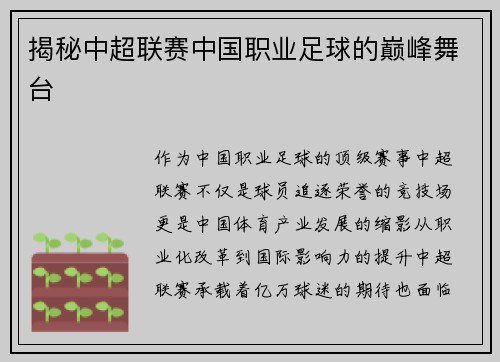揭秘中超联赛中国职业足球的巅峰舞台